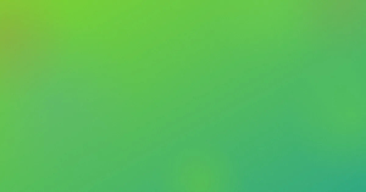恙推荐：新手这样学最稳